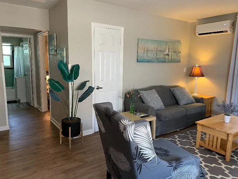 Living room with the mini-split air conditioner mounted high on the wall